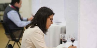 Especialistas analizan los desafíos y oportunidades del vino chileno en el mercado global