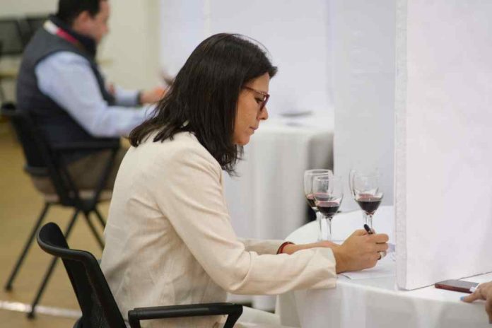 Especialistas analizan los desafíos y oportunidades del vino chileno en el mercado global