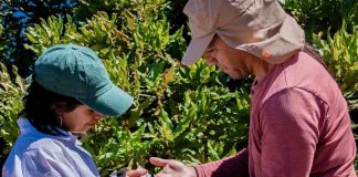 INIA dio inicio a innovador proyecto que impulsa la fruticultura sostenible y resiliente en Ñuble