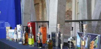 Ministerio de Agricultura apoyará proyecto de “Paisaje Cultural Vitivinícola del Pisco Chileno” ante la UNESCO