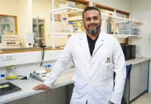 Órganos en un chip: la innovadora tecnología para reducir la experimentación animal