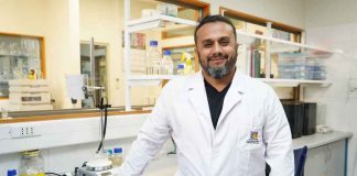 Órganos en un chip: la innovadora tecnología para reducir la experimentación animal