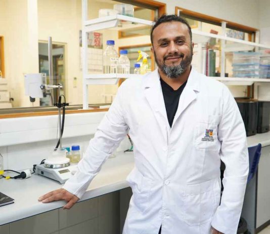 Órganos en un chip: la innovadora tecnología para reducir la experimentación animal