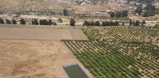 Pequeño tranque de acumulación bonificado por la Ley de Riego permitirá asegurar la producción de agricultoras de Huentelauquén