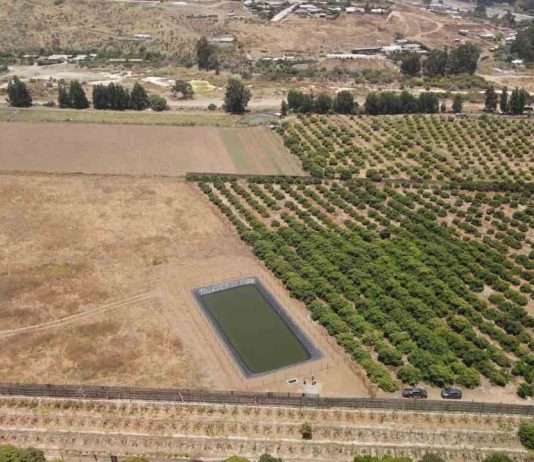 Pequeño tranque de acumulación bonificado por la Ley de Riego permitirá asegurar la producción de agricultoras de Huentelauquén