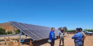 Pequeños agricultores de Punitaqui logran mayor eficiencia en sus cultivos a través de proyecto bonificado por la Ley de Riego