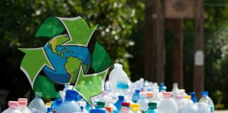 Recicleitor | App busca transformar la gestión de residuos y generar retorno financiero a sus usuarios