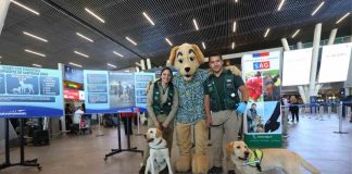 SAG lanza chatbot con inteligencia artificial para orientar a quienes salen con sus mascotas fuera de Chile