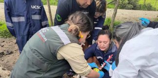 SAG Biobío realiza programa piloto de Casa Abierta en sus oficinas