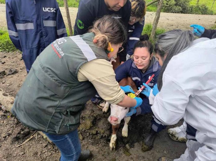 SAG Biobío realiza programa piloto de Casa Abierta en sus oficinas