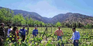 10 panoramas imperdibles en las viñas ganadoras de los premios Enoturismo Chile 2023