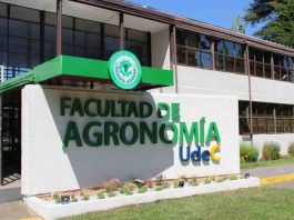 Agronomía UdeC dictará Diplomado en Ciencia Disruptiva y Comunicación Efectiva de la Ciencia