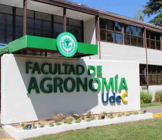 Agronomía UdeC dictará Diplomado en Ciencia Disruptiva y Comunicación Efectiva de la Ciencia
