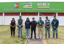 Autoridades del Agro de Biobío visitan Sitio de Inspección Fitosanitaria de Cabrero