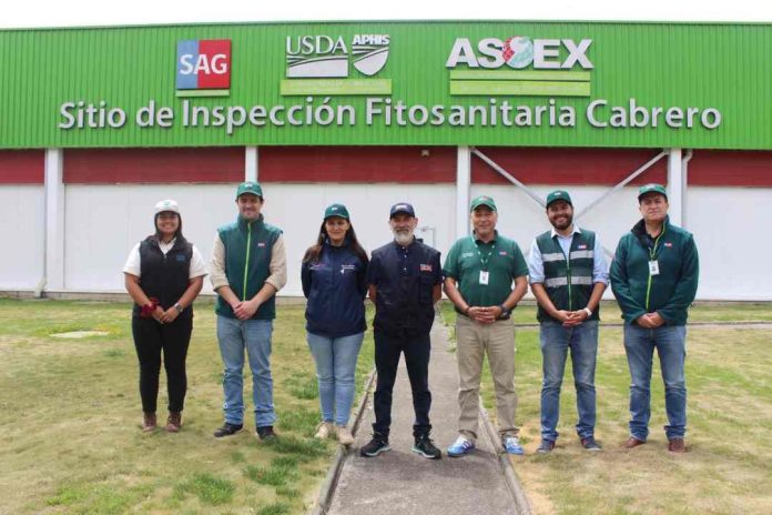 Autoridades del Agro de Biobío visitan Sitio de Inspección Fitosanitaria de Cabrero