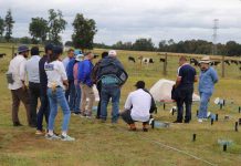 En Osorno realizan primer taller de un proyecto internacional para optimizar el uso de fertilizantes nitrogenados en la agricultura