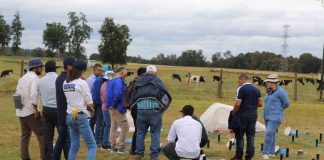 En Osorno realizan primer taller de un proyecto internacional para optimizar el uso de fertilizantes nitrogenados en la agricultura