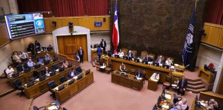 En votación unánime: sala del Senado aprueba proyecto de ley que crea el Servicio Nacional Forestal