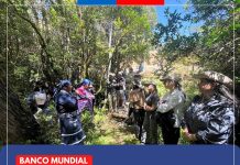 Fondo del Carbono de los Bosques destaca a CONAF