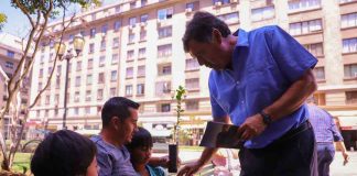 Gobierno llama al cuidado y a la prevención de incendios forestales para esta temporada de verano