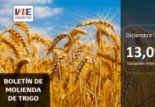INE Biobío publica cifras de molienda de trigo correspondiente a diciembre de 2024