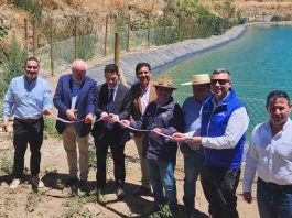 Organizaciones de regantes de Monte Patria recibieron $2.350 millones para mitigar efectos del déficit hídrico 
