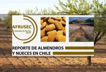 REPORTE DE ALMENDROS Y NUECES EN CHILE Enero 2025