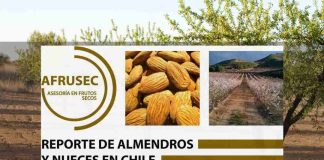 REPORTE DE ALMENDROS Y NUECES EN CHILE Enero 2025