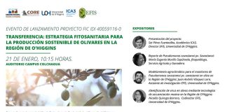Lanzamiento del Proyecto FIC: Transferencia: Estrategia Fitosanitaria para la Producción Sostenible de Olivares en la Región de O’Higgins