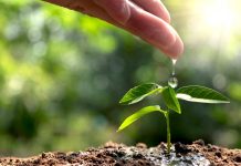 Valmet: avances significativos hacia un futuro carbono neutral