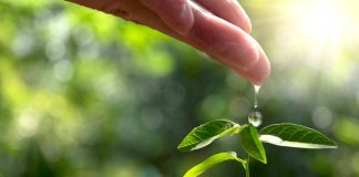 Valmet: avances significativos hacia un futuro carbono neutral