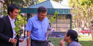Gobierno llama al cuidado y a la prevención de incendios forestales para esta temporada de verano