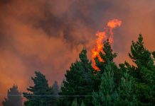 CONAF activa plan de contingencia por Año Nuevo para prevenir incendios forestales