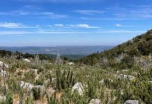 $690 millones entregó el Ministerio del Medio Ambiente a proyectos de conservación