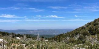 $690 millones entregó el Ministerio del Medio Ambiente a proyectos de conservación