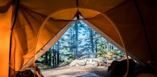 7 elementos indispensables para tu camping
