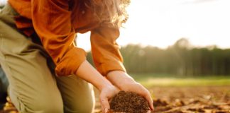 Mujer Agro y Eficiencia Hídrica: Comité Hídrico de Valparaíso anuncia eventos gratuitos enfocados en la sostenibilidad y en la agricultura
