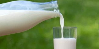 Caracterización nutricional de leches emergentes: burra, cabra y vaca