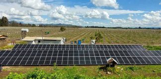 Cool Power Paneles Solares Agrícola. Genera tu Propia Electricidad: No Tengas Pérdidas ante Cortes de Luz
