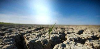 Cuando la sequía y las lluvias extremas ponen en jaque las economías locales
