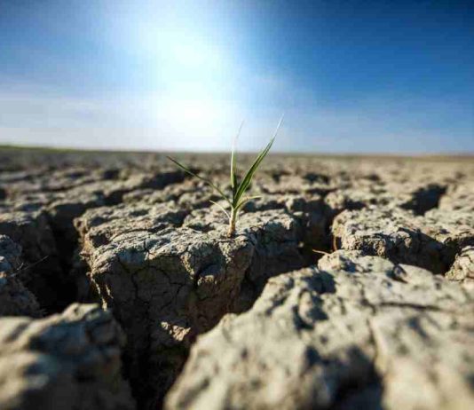 Cuando la sequía y las lluvias extremas ponen en jaque las economías locales
