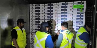 D&C División Depósitos culmina exitosamente servicios prestados durante ciclo de exportación de cerezas