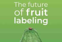 El futuro del etiquetado de la fruta: ¡Ver para creer!