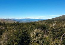 El impacto de la escasez de agua que motiva la compra de parcelas en el sur de Chile