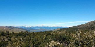 El impacto de la escasez de agua que motiva la compra de parcelas en el sur de Chile