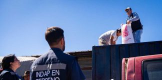 En Purén comenzó la entrega de ayuda a agricultores de La Araucanía afectados por incendios