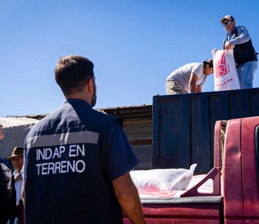 En Purén comenzó la entrega de ayuda a agricultores de La Araucanía afectados por incendios