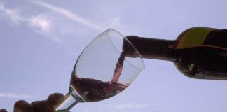 Existencias de vinos caen casi 14% en 2024