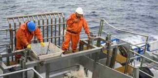 Experto advierte los riesgos del fraccionamiento pesquero en la disponibilidad de pescado para consumo humano