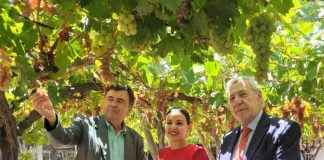 Gobierno y pisqueros se reúnen en valle del Elqui para celebrar junto a la comunidad el ingreso del paisaje del pisco chileno a lista tentativa nacional ante UNESCO 